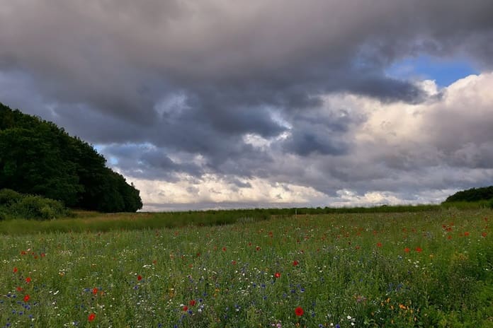 Per Lietuvą keliaus lietingi atmosferos frontai