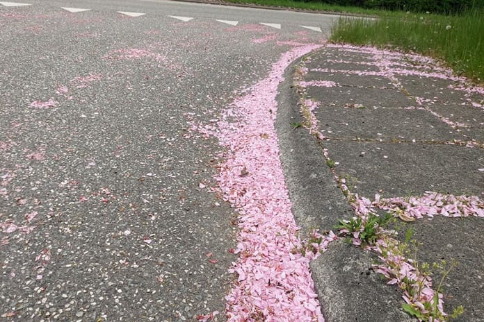 ORAI: Trečiadienio dieną daug kur palis, kai kur smarkiai