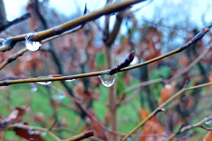 ORAI: Šiandien krituliai, vyraus lietus, temperatūra 3–8 laipsniai šilumos