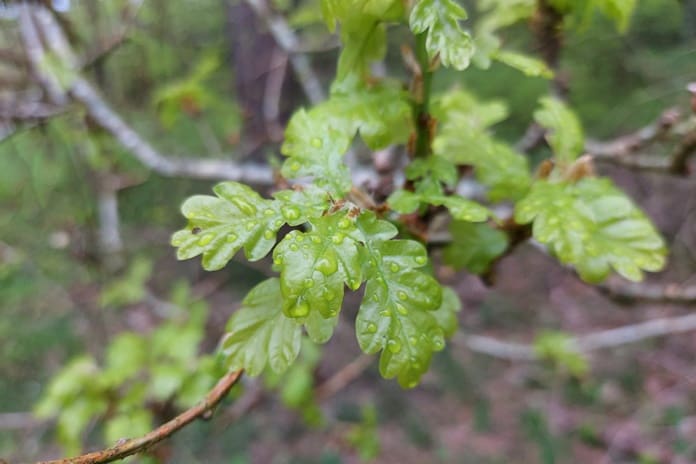 ORAI: Sekmadienio dieną aukščiausia temperatūra 24–29 laipsniai