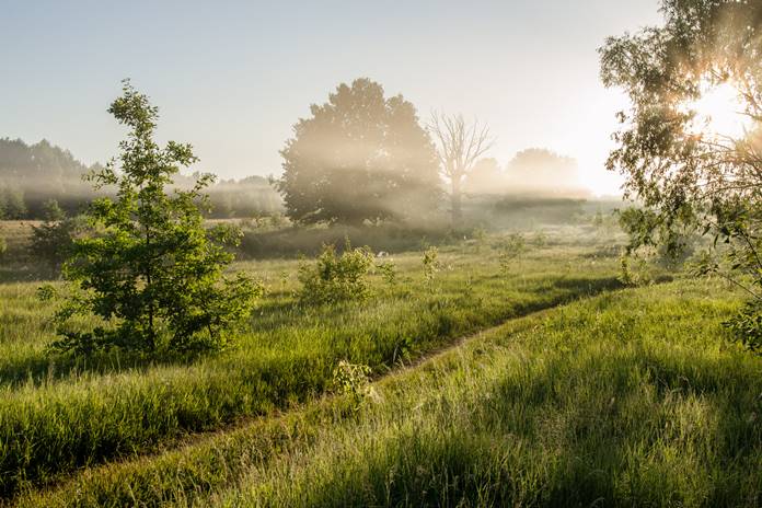 ORAI: Trečiadienis saulėta ir šilta diena